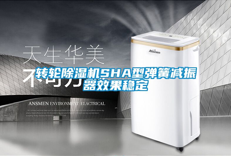 轉(zhuǎn)輪除濕機(jī)SHA型彈簧減振器效果穩(wěn)定