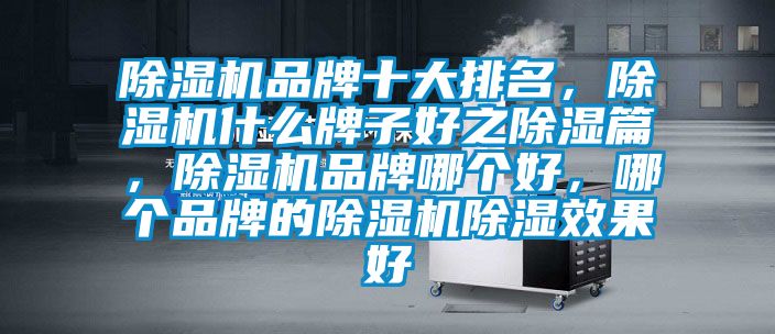 除濕機(jī)品牌十大排名，除濕機(jī)什么牌子好之除濕篇，除濕機(jī)品牌哪個(gè)好，哪個(gè)品牌的除濕機(jī)除濕效果好