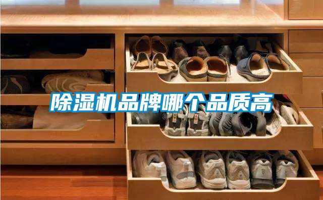 除濕機(jī)品牌哪個品質(zhì)高
