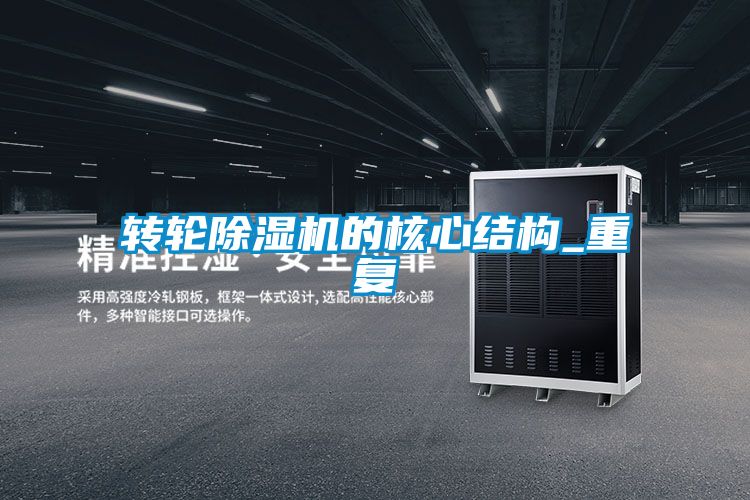 轉(zhuǎn)輪除濕機的核心結(jié)構(gòu)_重復