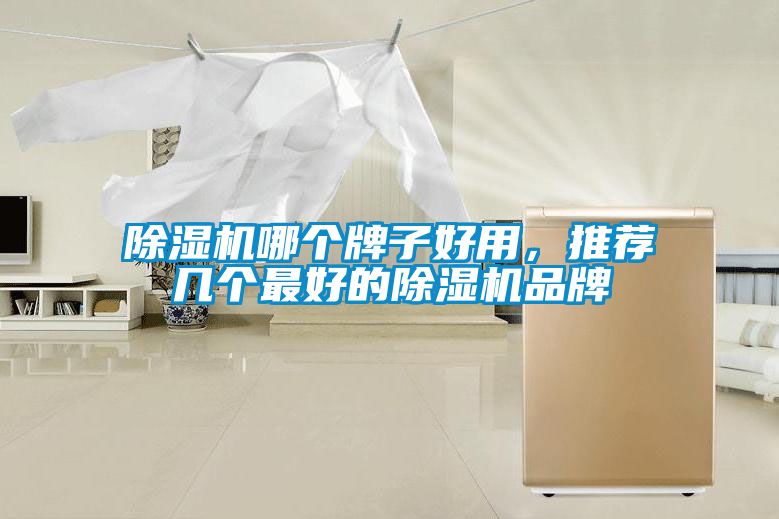 除濕機哪個牌子好用，推薦幾個最好的除濕機品牌