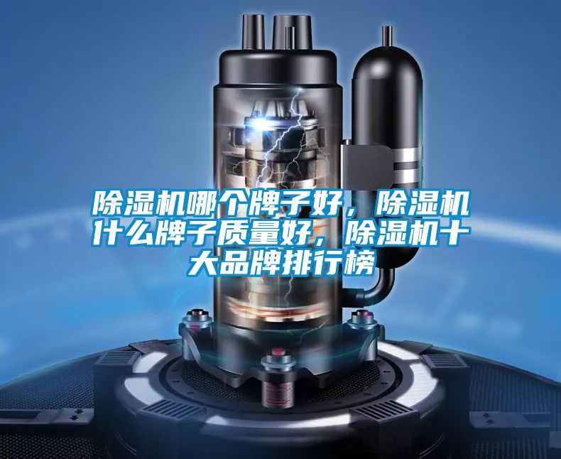 除濕機(jī)哪個牌子好，除濕機(jī)什么牌子質(zhì)量好，除濕機(jī)十大品牌排行榜