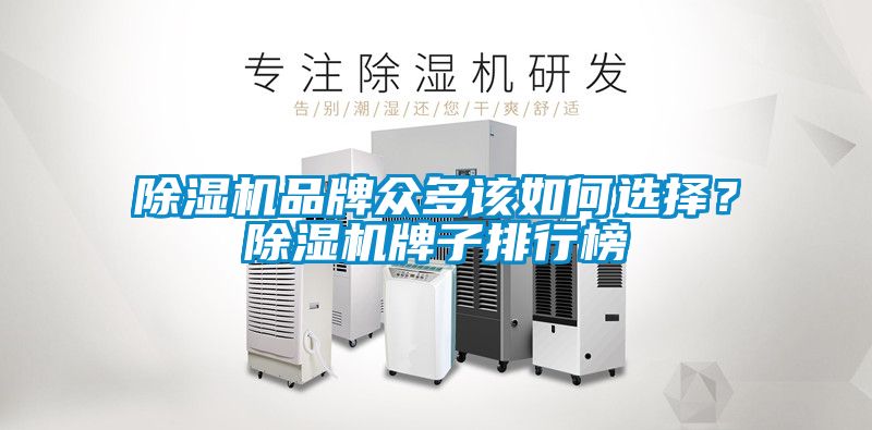 除濕機品牌眾多該如何選擇？除濕機牌子排行榜