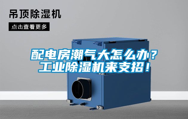 配電房潮氣大怎么辦？工業(yè)除濕機來支招！