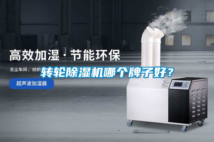 轉(zhuǎn)輪除濕機(jī)哪個牌子好？