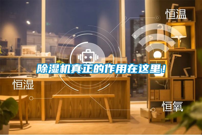 除濕機(jī)真正的作用在這里！