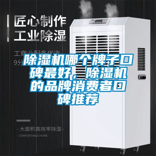 除濕機(jī)哪個牌子口碑最好，除濕機(jī)的品牌消費(fèi)者口碑推薦