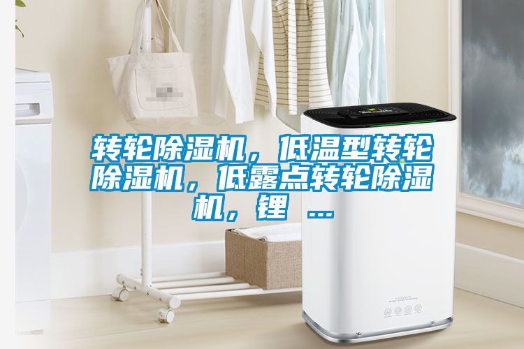 轉(zhuǎn)輪除濕機(jī)，低溫型轉(zhuǎn)輪除濕機(jī)，低露點轉(zhuǎn)輪除濕機(jī)，鋰 ...