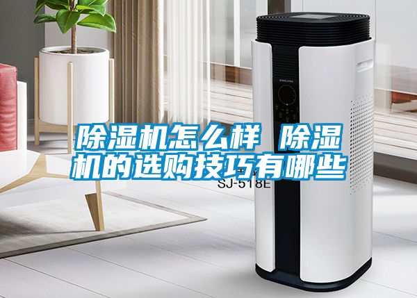 除濕機(jī)怎么樣 除濕機(jī)的選購(gòu)技巧有哪些