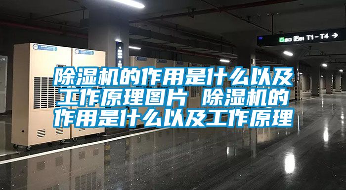 除濕機(jī)的作用是什么以及工作原理圖片 除濕機(jī)的作用是什么以及工作原理