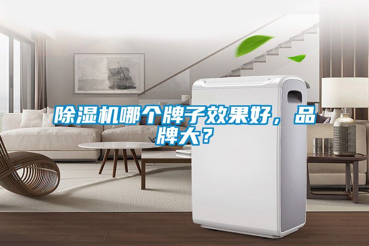 除濕機哪個牌子效果好，品牌大？