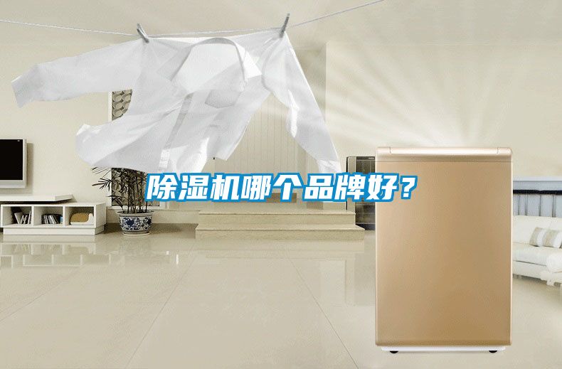 除濕機(jī)哪個品牌好？