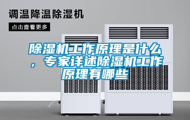 除濕機(jī)工作原理是什么，專家詳述除濕機(jī)工作原理有哪些