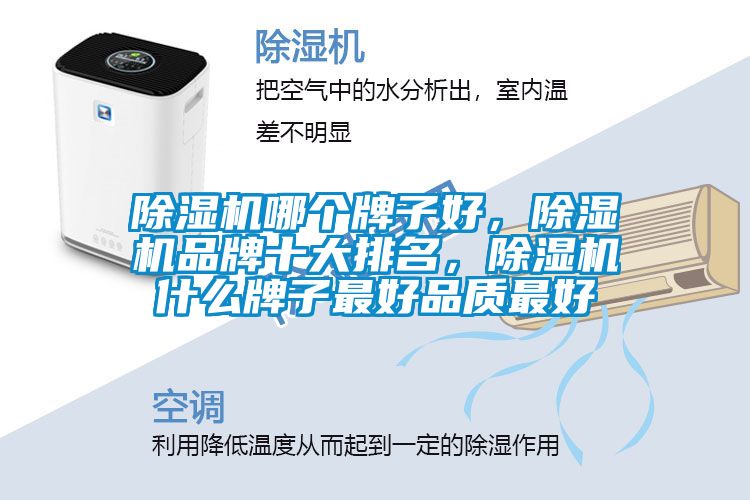 除濕機(jī)哪個(gè)牌子好，除濕機(jī)品牌十大排名，除濕機(jī)什么牌子最好品質(zhì)最好