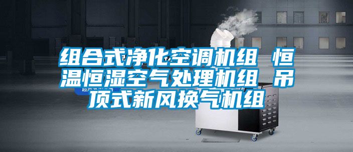 組合式凈化空調(diào)機組 恒溫恒濕空氣處理機組 吊頂式新風(fēng)換氣機組