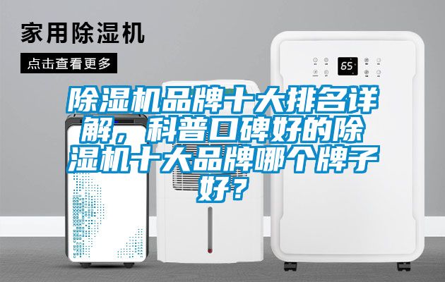 除濕機品牌十大排名詳解，科普口碑好的除濕機十大品牌哪個牌子好？