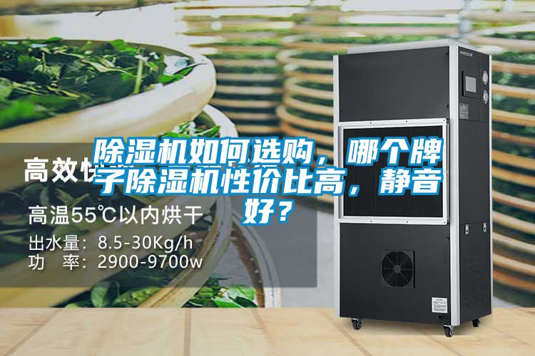 除濕機如何選購，哪個牌子除濕機性價比高，靜音好？