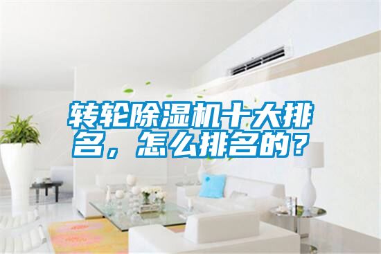 轉(zhuǎn)輪除濕機(jī)十大排名，怎么排名的？