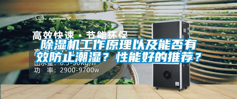 除濕機工作原理以及能否有效防止潮濕？性能好的推薦？