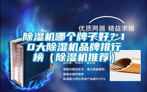 除濕機哪個牌子好？10大除濕機品牌排行榜（除濕機推薦）