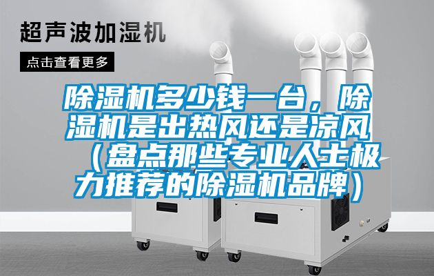 除濕機多少錢一臺，除濕機是出熱風(fēng)還是涼風(fēng)（盤點那些專業(yè)人士極力推薦的除濕機品牌）