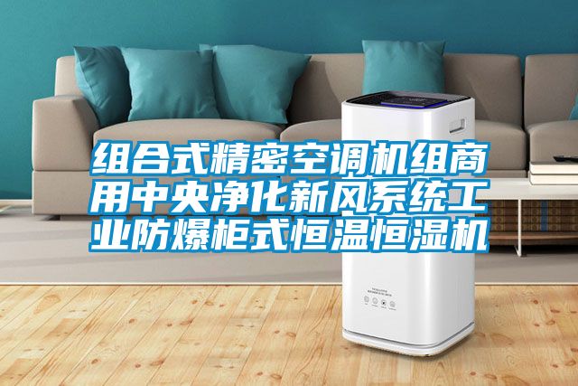 組合式精密空調(diào)機組商用中央凈化新風(fēng)系統(tǒng)工業(yè)防爆柜式恒溫恒濕機