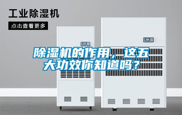 除濕機(jī)的作用，這五大功效你知道嗎？