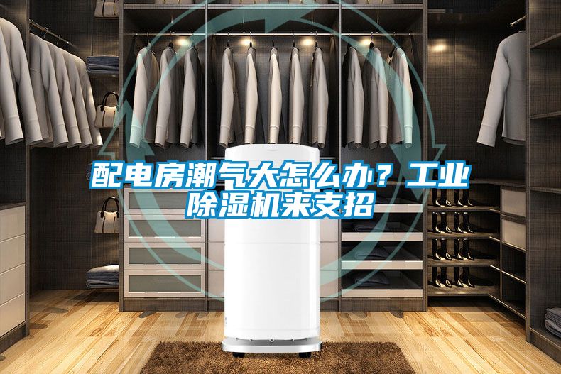 配電房潮氣大怎么辦？工業(yè)除濕機(jī)來(lái)支招