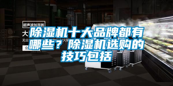 除濕機十大品牌都有哪些？除濕機選購的技巧包括