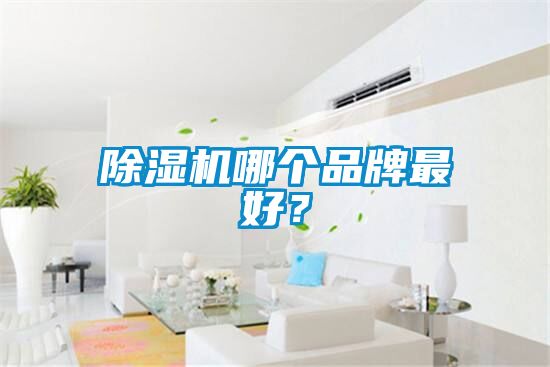除濕機哪個品牌最好？