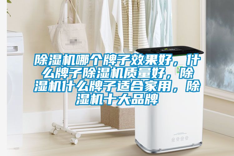 除濕機哪個牌子效果好，什么牌子除濕機質(zhì)量好，除濕機什么牌子適合家用，除濕機十大品牌
