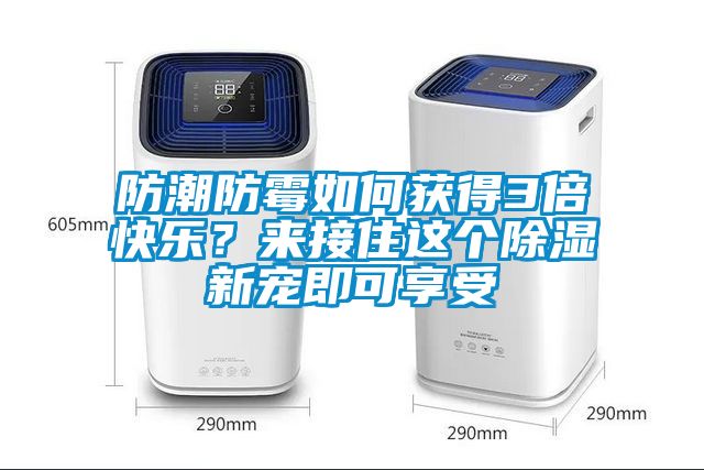 防潮防霉如何獲得3倍快樂？來接住這個(gè)除濕新寵即可享受