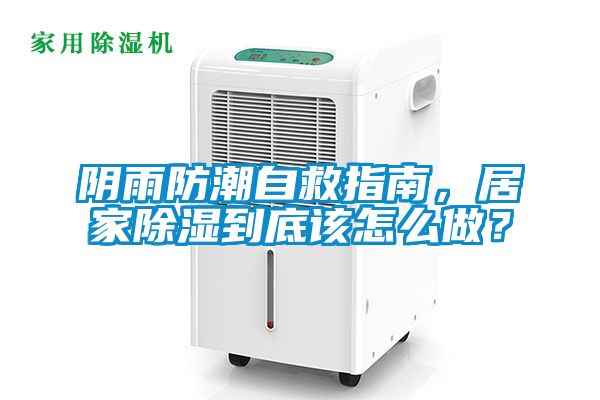 陰雨防潮自救指南，居家除濕到底該怎么做？