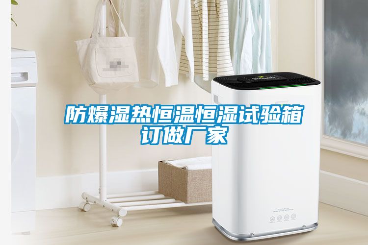 防爆濕熱恒溫恒濕試驗(yàn)箱訂做廠(chǎng)家