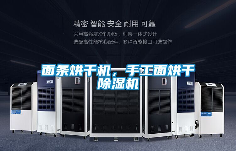 面條烘干機(jī)，手工面烘干除濕機(jī)