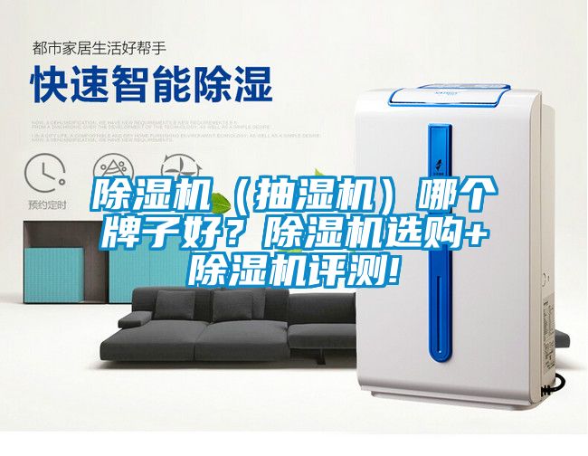 除濕機(jī)（抽濕機(jī)）哪個(gè)牌子好？除濕機(jī)選購+除濕機(jī)評測!