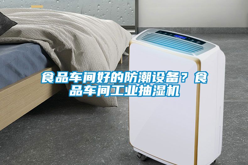 食品車間好的防潮設(shè)備？食品車間工業(yè)抽濕機