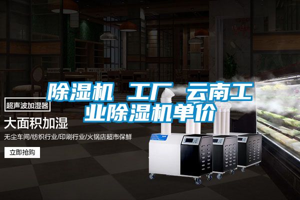 除濕機(jī) 工廠 云南工業(yè)除濕機(jī)單價
