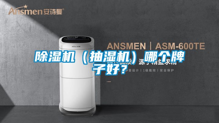 除濕機(jī)（抽濕機(jī)）哪個(gè)牌子好？