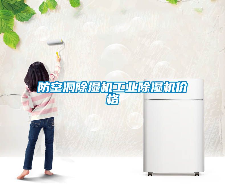 防空洞除濕機工業(yè)除濕機價格