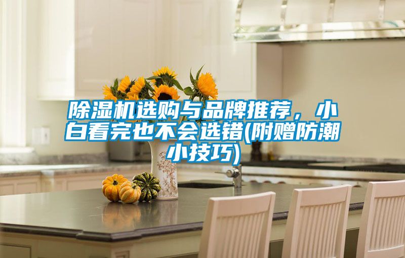 除濕機(jī)選購(gòu)與品牌推薦，小白看完也不會(huì)選錯(cuò)(附贈(zèng)防潮小技巧)