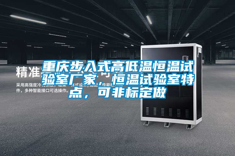 重慶步入式高低溫恒溫試驗(yàn)室廠家，恒溫試驗(yàn)室特點(diǎn)，可非標(biāo)定做