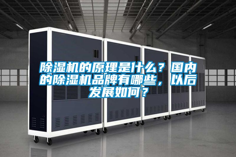 除濕機(jī)的原理是什么？國內(nèi)的除濕機(jī)品牌有哪些，以后發(fā)展如何？