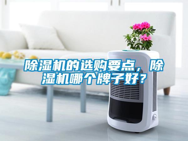 除濕機的選購要點，除濕機哪個牌子好？