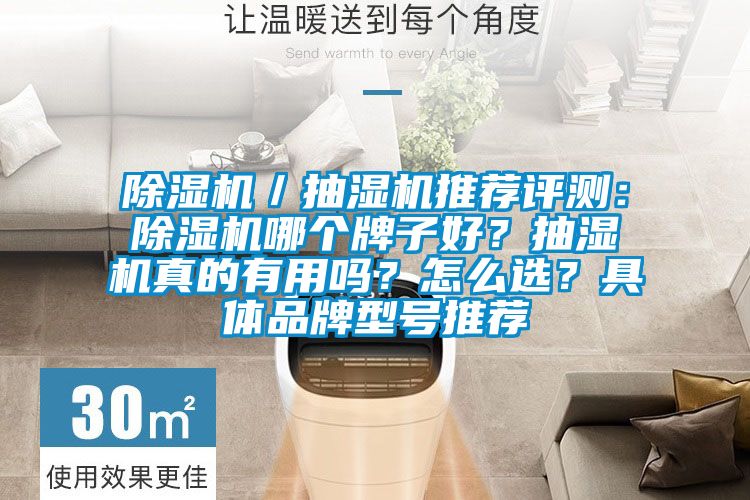 除濕機／抽濕機推薦評測：除濕機哪個牌子好？抽濕機真的有用嗎？怎么選？具體品牌型號推薦