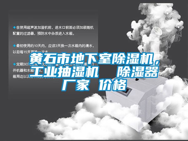 黃石市地下室除濕機，工業(yè)抽濕機  除濕器廠家 價格