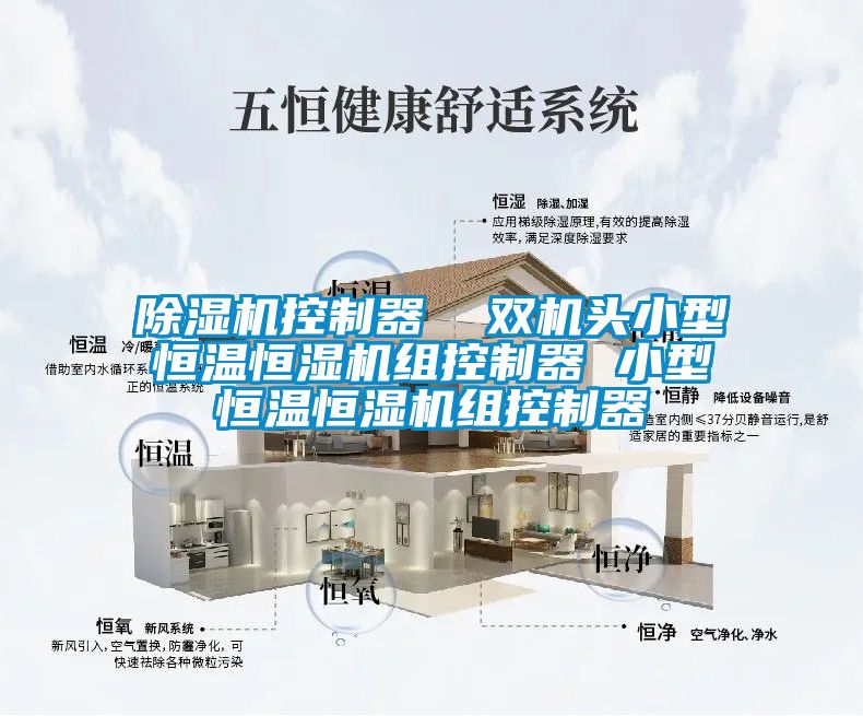 除濕機(jī)控制器  雙機(jī)頭小型恒溫恒濕機(jī)組控制器 小型恒溫恒濕機(jī)組控制器