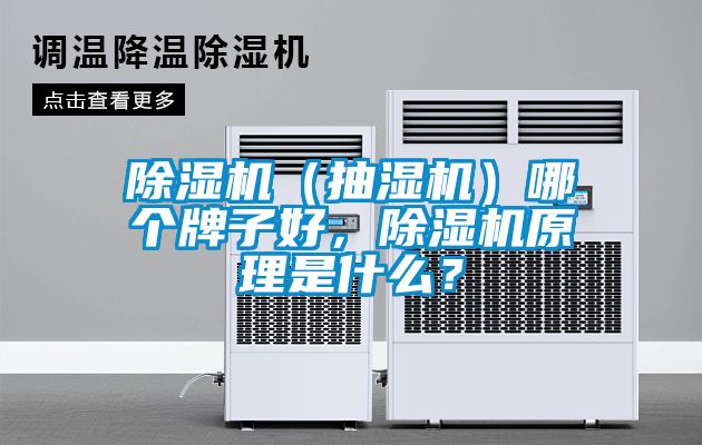 除濕機(jī)（抽濕機(jī)）哪個(gè)牌子好，除濕機(jī)原理是什么？