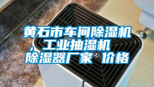 黃石市車間除濕機，工業(yè)抽濕機  除濕器廠家 價格
