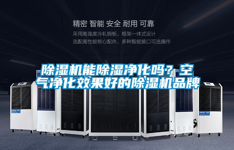 除濕機能除濕凈化嗎？空氣凈化效果好的除濕機品牌
